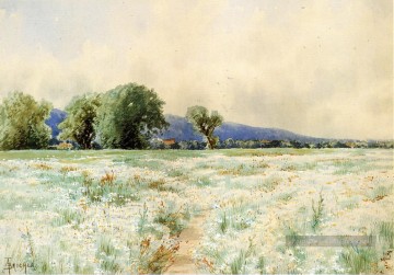 Le champ de marguerites Alfred Thompson Bricher Peinture à l'huile